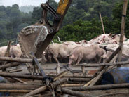 未见评估报告就收到补偿决定书，合法吗？